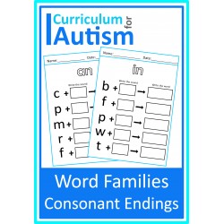 Word Families Consonant Endings Worksheets